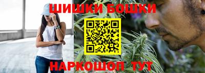 ешки Будённовск