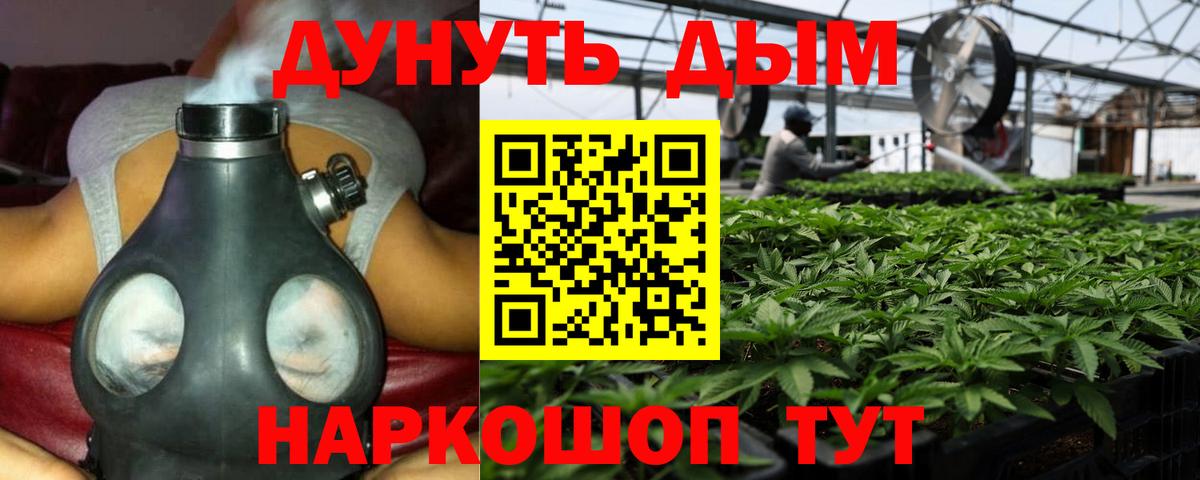 Каннабис Amnesia  Каннабис Amnesia  Иркутск  Вход с VPN  Шишки марихуана Bruce Banner 